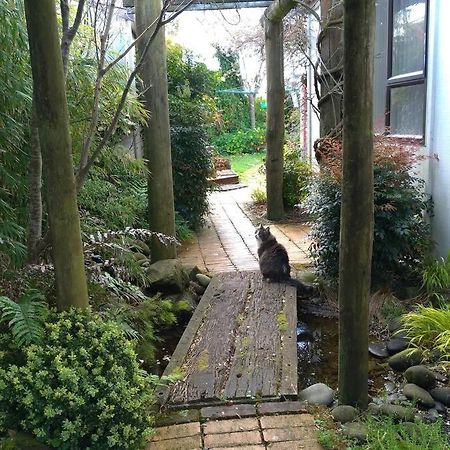 Secret Cottage Waitara Екстер'єр фото