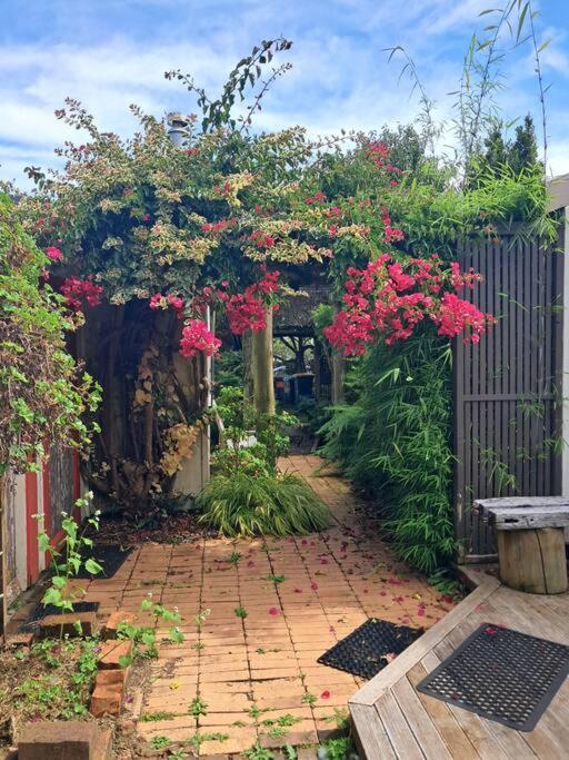 Secret Cottage Waitara Екстер'єр фото