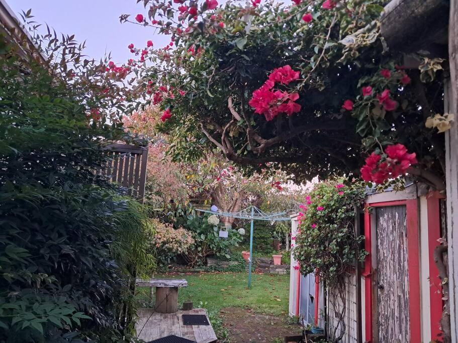 Secret Cottage Waitara Екстер'єр фото